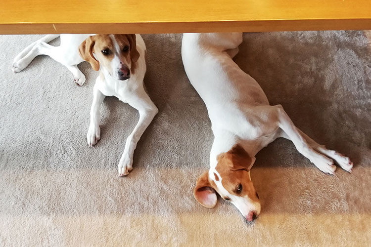 無理なく続けられる掃除習慣にして、心地よい住まいづくりをしていきましょう