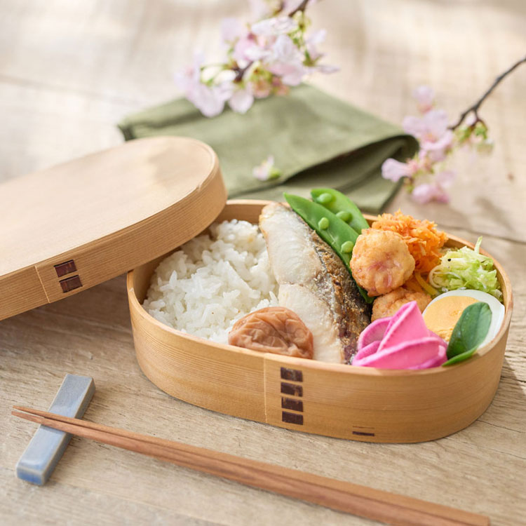 HAL万能無水鍋 23【製造元出荷】 | Rinnai Style（リンナイスタイル