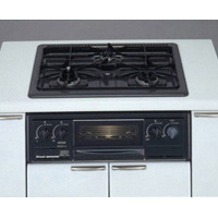 RBG-30B5C Rinnai-connectedremag.com