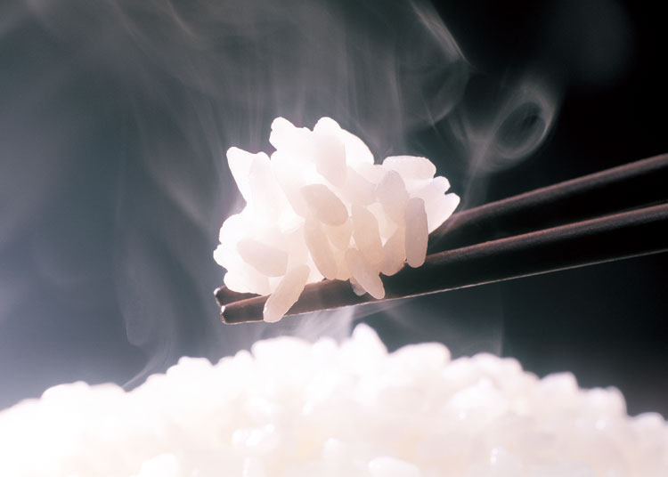 専用炊飯土鍋「かまどさん自動炊き」（2合炊）【型番：RTR