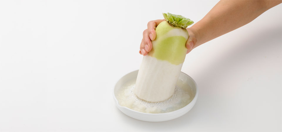 本格おろし器