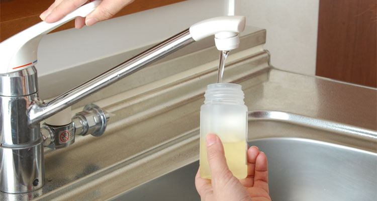 天使の松 泡ボトル2個セット【製造元出荷】 | Rinnai Style（リンナイ