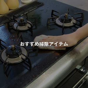 DELICIA オーナーのあなたに | Rinnai Style（リンナイスタイル